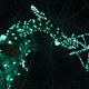 Illustration for article titled Photo Contest: Christmas Lights